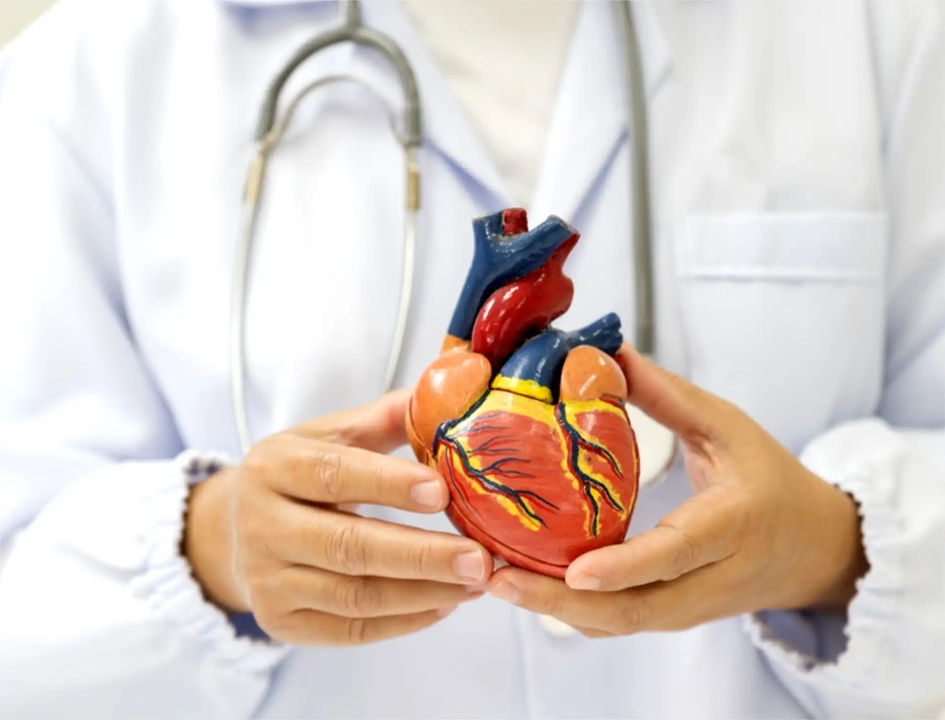 Hypertension & Heart
